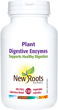 Plant Digestive Enzymes