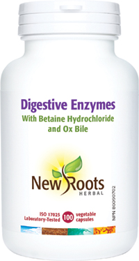 Digestive Enzymes