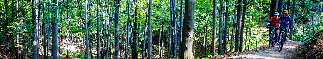 Advanced Mineral Support for Total Body Vitality