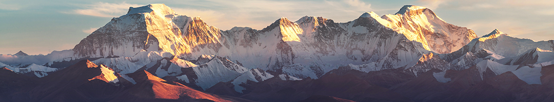 A Botanical Experience