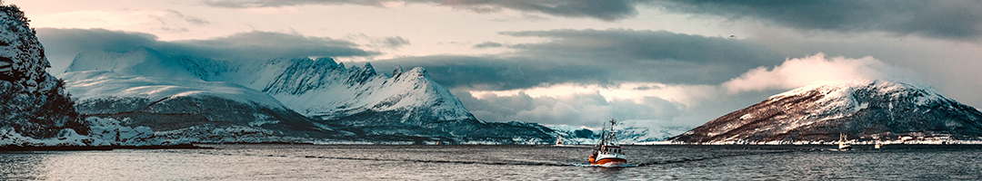 Pure Omega‑3 for Everyday Vitality