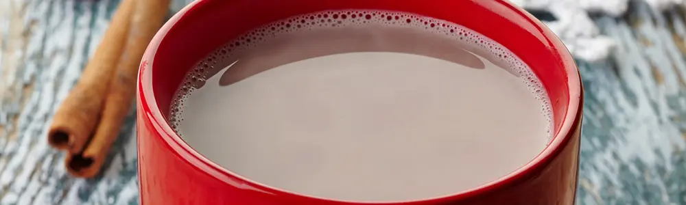 One-Mug Hot Chocolate / Coconut Whipping Cream