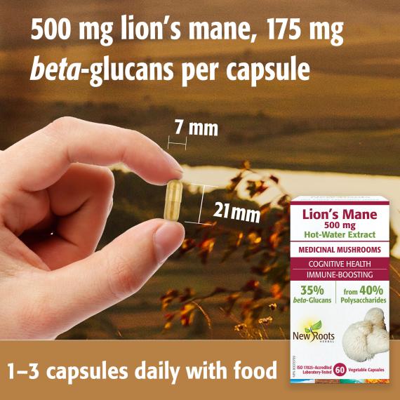 Lion’s Mane