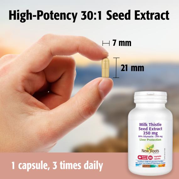 Milk Thistle Seed Extract 250 mg